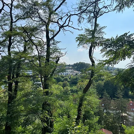 شقة Luxuswohnung In Mit Fantastischem Blick كارلسروه