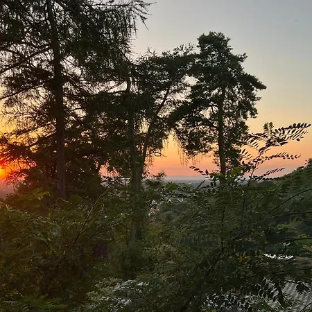 شقة Luxuswohnung In Mit Fantastischem Blick كارلسروه