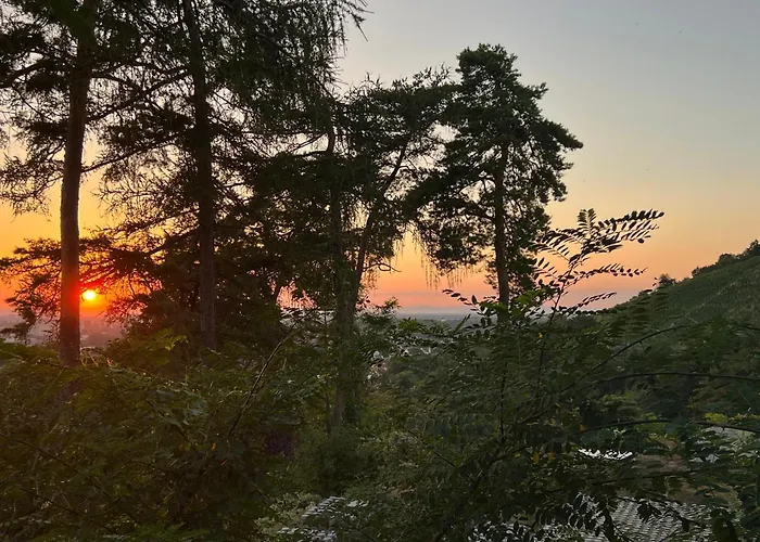 דירה Luxuswohnung In Mit Fantastischem Blick קרלסרוהה